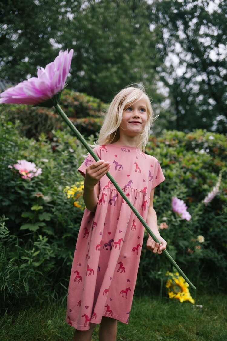 Daily Brat Daily Brat | Jurk stardust horse old rose