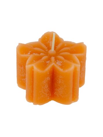 Home Society | Kaars blossom oranje