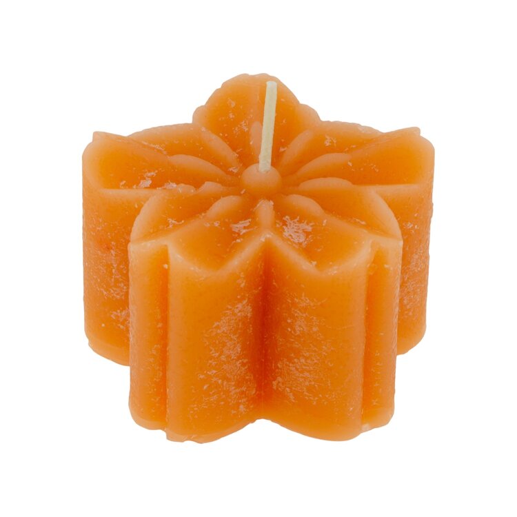 Home Society | Kaars blossom oranje