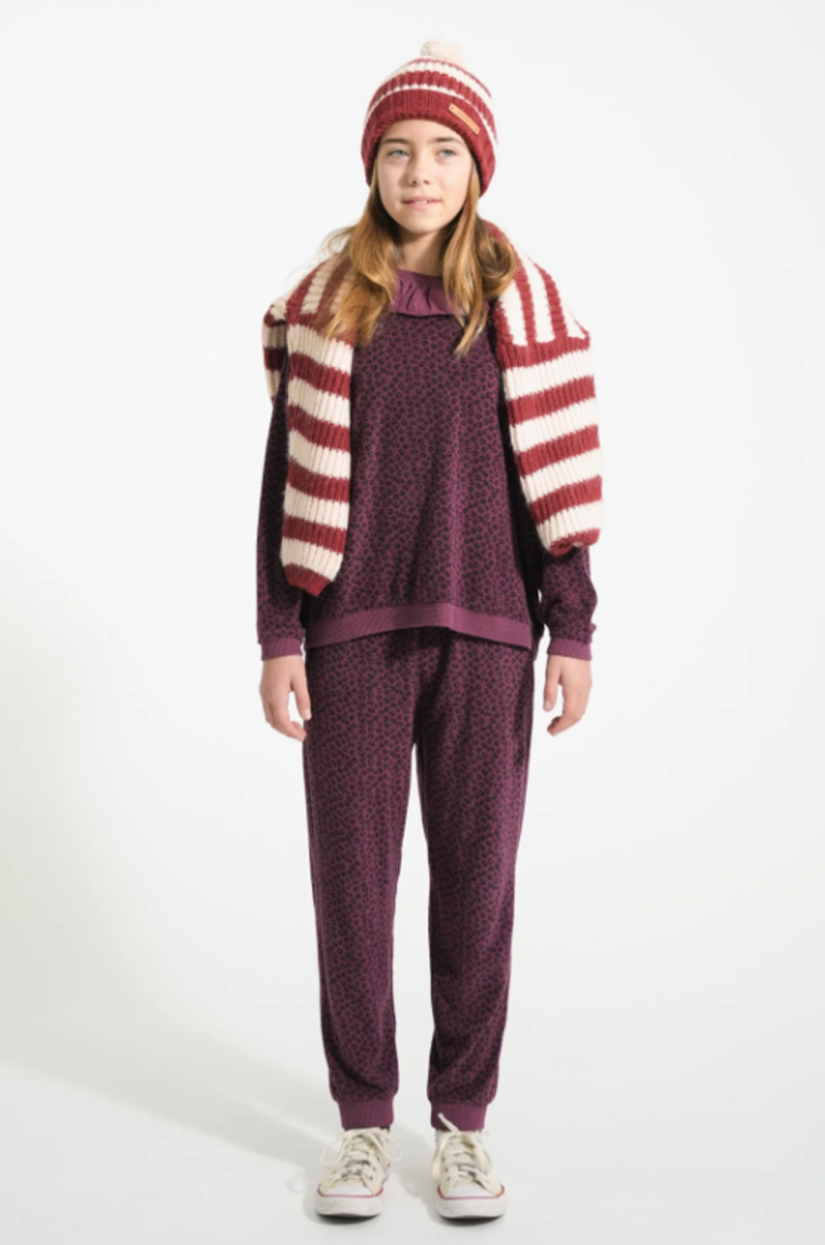 Piupiuchick Piupiuchick | Sweater Terry print aubergine