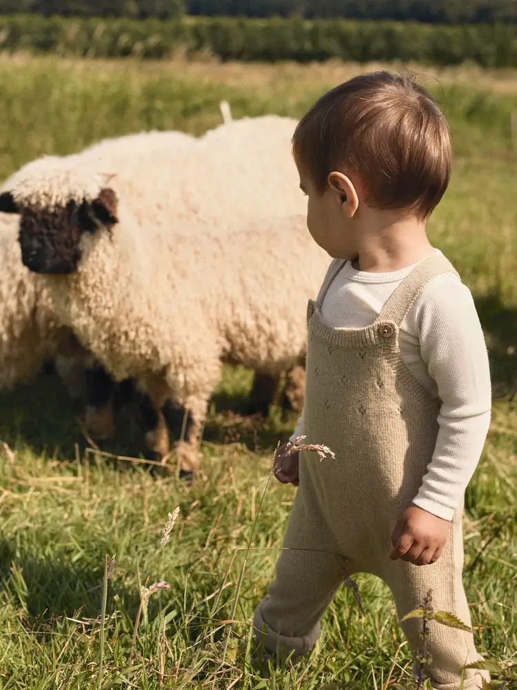 Lil Atelier Lil Atelier | Rompel wol Nalu durtledove