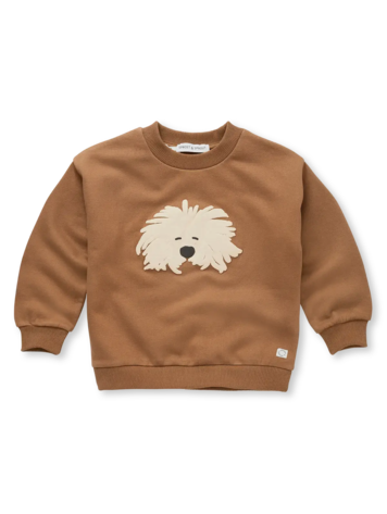Sproet&Sprout Sproet&Sprout | Sweater Moustache dog mocca