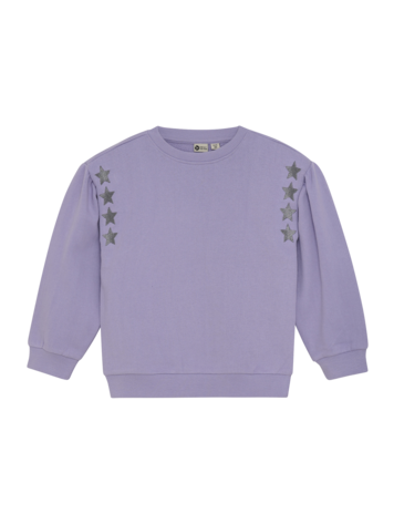 Daily7 Daily7 | Sweater Embroidery paars