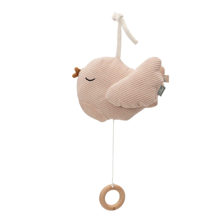 Jollein Jollein | Muziekhanger Lovely birds