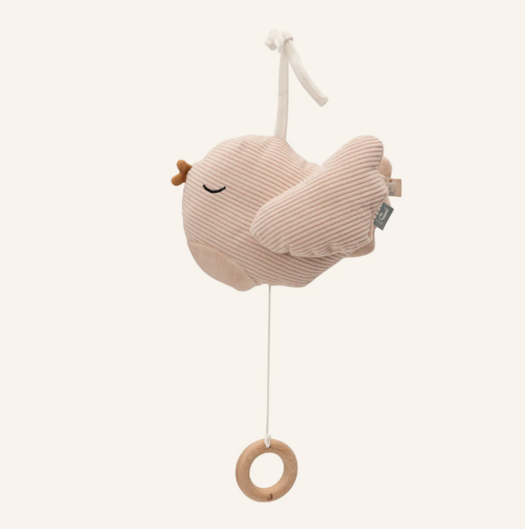 Jollein Jollein | Muziekhanger Lovely birds