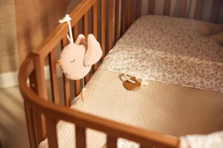 Jollein Jollein | Muziekhanger Lovely birds