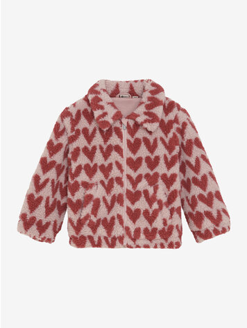 Daily7 Daily7 | Teddy jasje hartjes