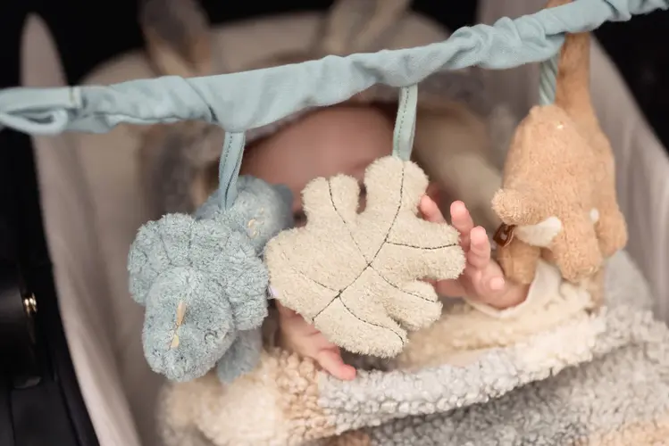 Jollein Jollein | Wagenspanner Roarsome