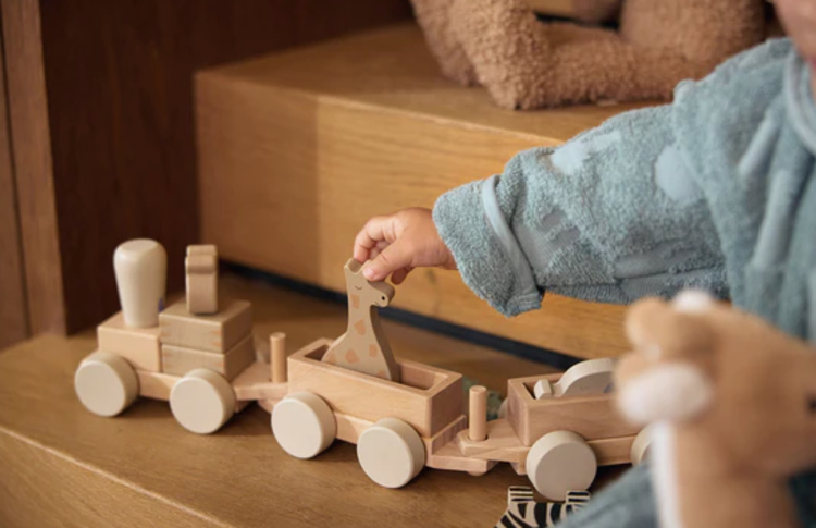 Jollein Jollein | Houten speelgoedtrein jungle jambo