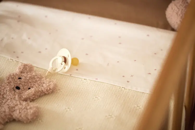 Jollein Jollein | Speendoekje teddy bear wild rose