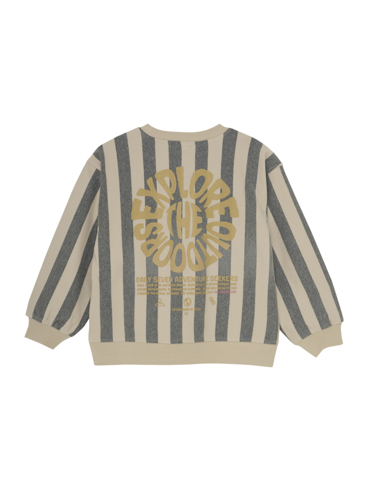 Daily7 Daily7 | Sweater oversized stripe