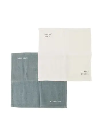 Zusss Zusss | Vaatdoekjes zo leuk grijsblauw set van 2