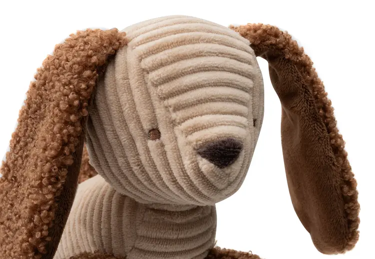 Jollein Jollein | Wagenhanger Diego hond