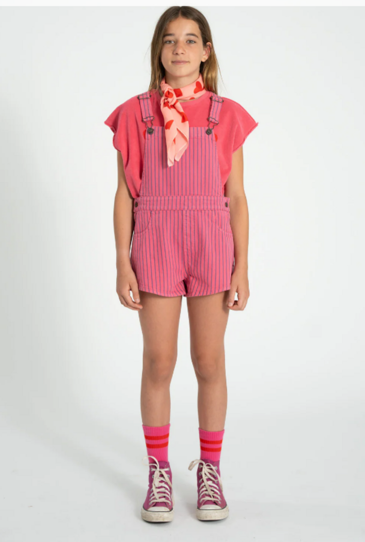 Piupiuchick Piupiuchick | Tuinbroek indigo stripes pink