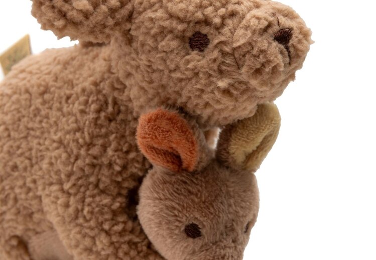 Jollein Jollein | Wagenhanger kangaroots