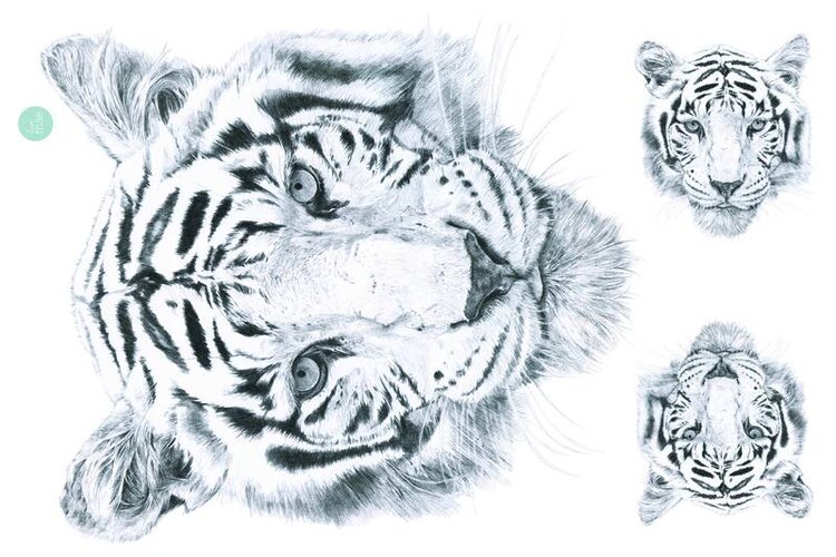 Love Mae tiger wall decals