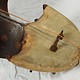 exotic musical instrument India Belutschistan afghanistan and pakistan Sarinda Ghichak 18/1