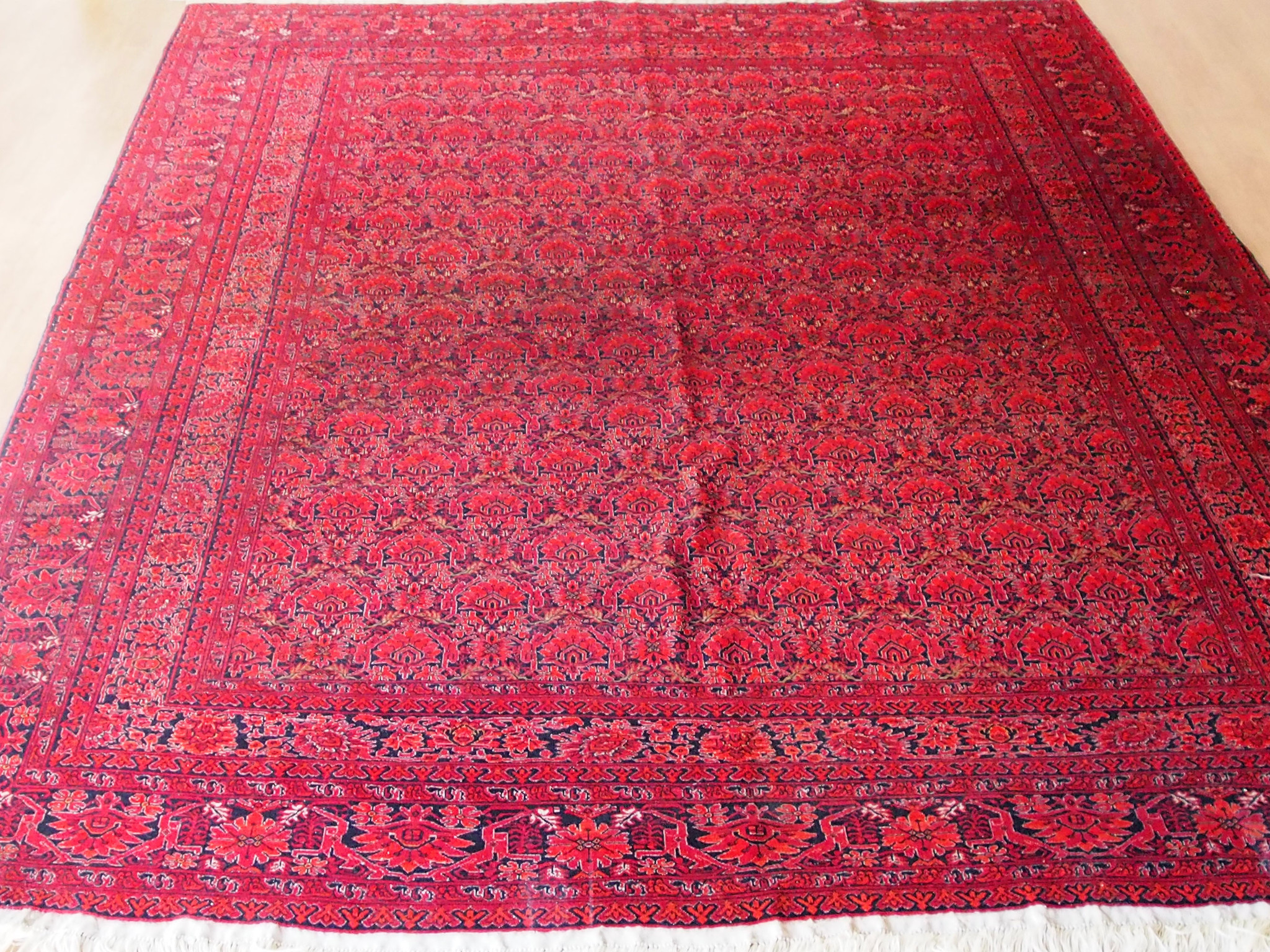 340x240 cm Turkmenische Teppich Nr:19/1