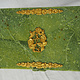 Extravagate und atemberaubende olivgrün Serpentin afghanischen Shahmaqsud Jade büchse Schmuck Dose schatulle Gefäß aus Afghanistan Nr-21/C