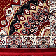 300x200 cm velvety Carpet rug for oriental Sitting area Arabic majlis  23B