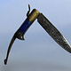 Messer Dolch Klappmesser Khyber-messer Lohar Lapis Lazuli-Griff aus Afghanistan pakistan Nr:25/B