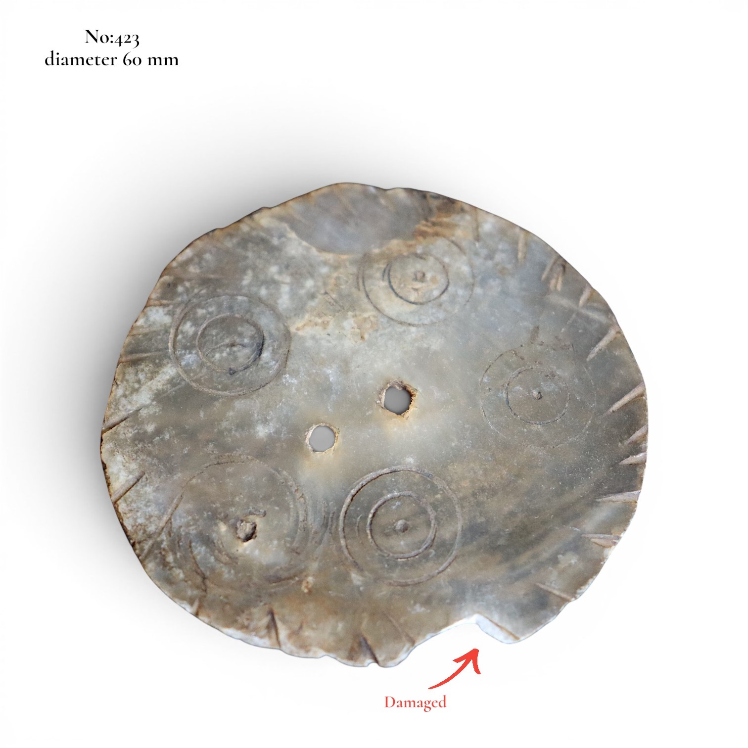 antik Vintage- Knöpfe aus handgeschnittenem Muschelhorn aus Gilgit im Swat-Tal in Nordpakistan  - Copy