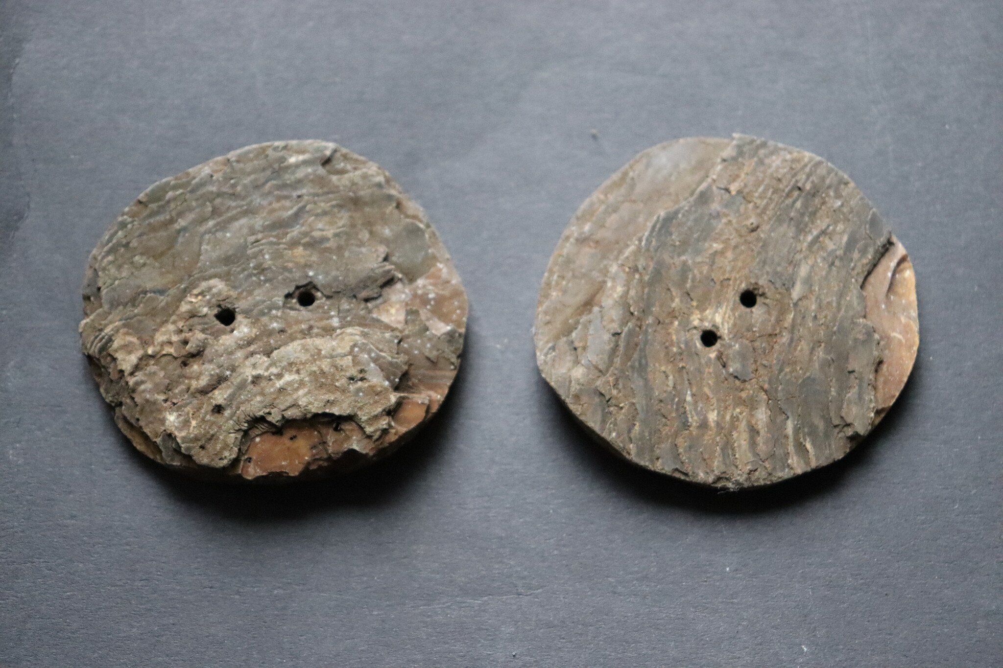 2 PCS Vintage Hand Cut Shell Tany Buttons From The City Gilgit In The Swat Valley Of North Pakistan. - new
