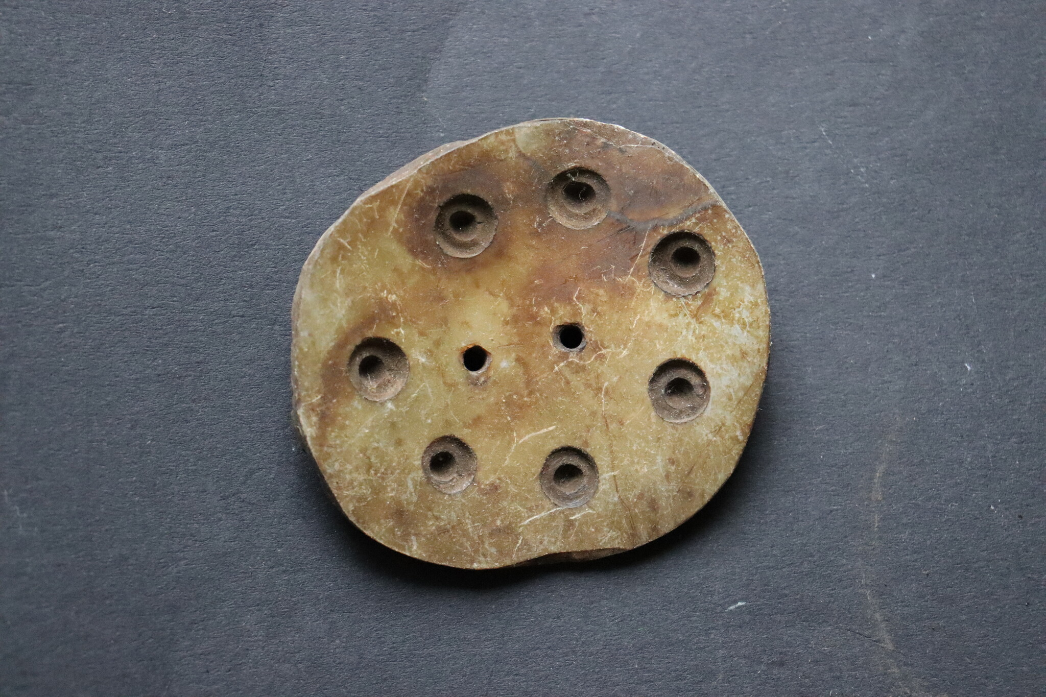 2 PCS Vintage Hand Cut Shell Tany Buttons From The City Gilgit In The Swat Valley Of North Pakistan. - new