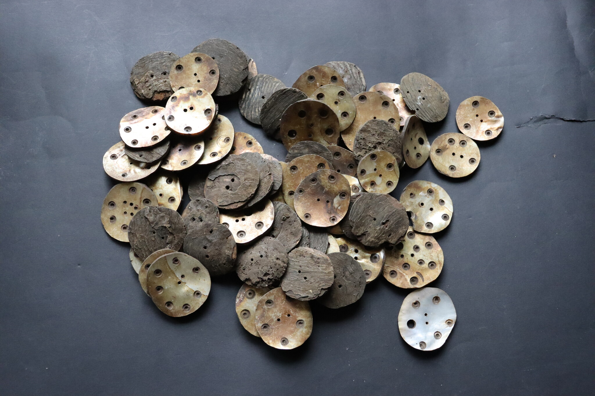 2 Stück Vintage- Knöpfe aus handgeschnittenem Muschelhorn aus Gilgit im Swat-Tal in Nordpakistan  -new