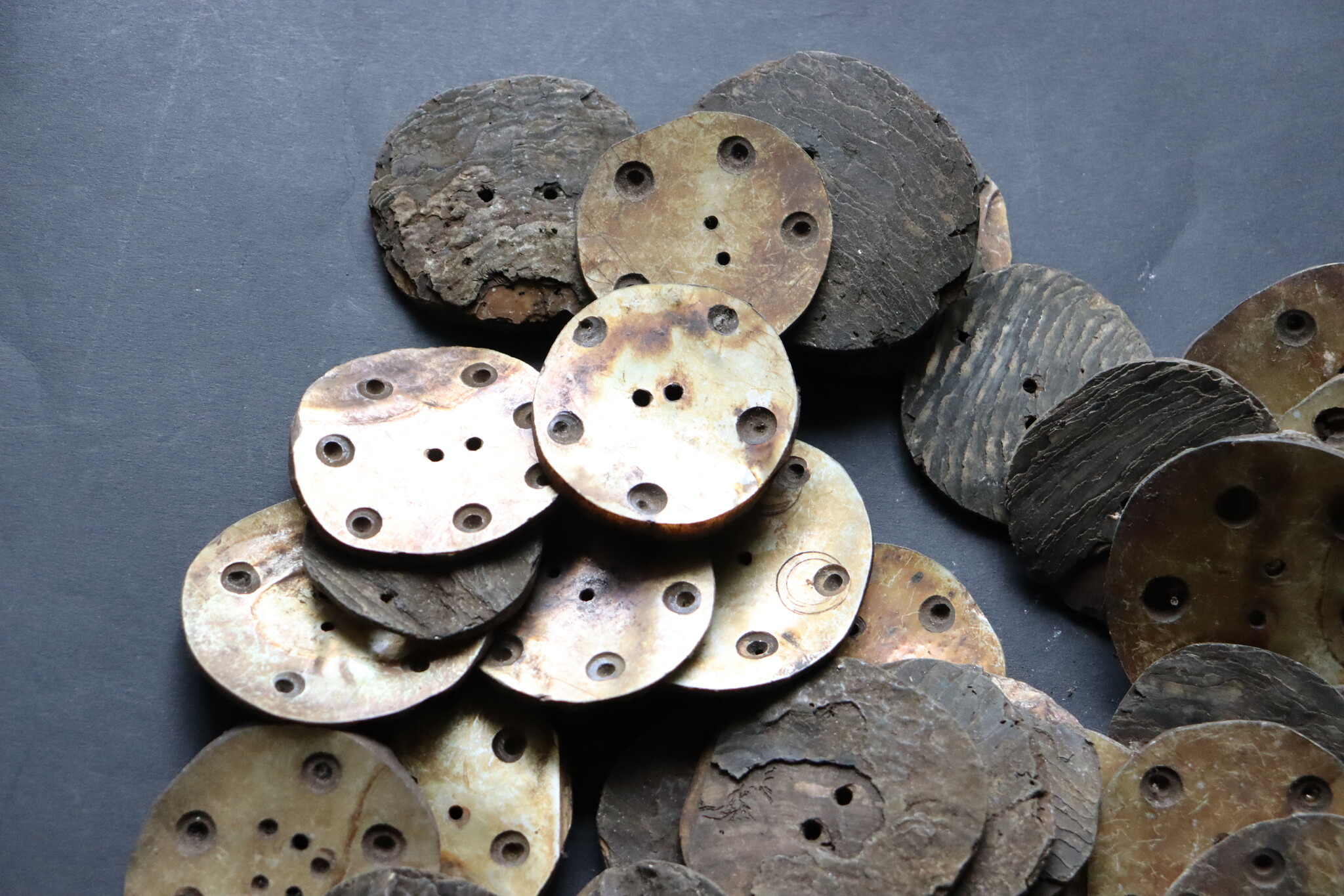 2 Stück Vintage- Knöpfe aus handgeschnittenem Muschelhorn aus Gilgit im Swat-Tal in Nordpakistan  -new