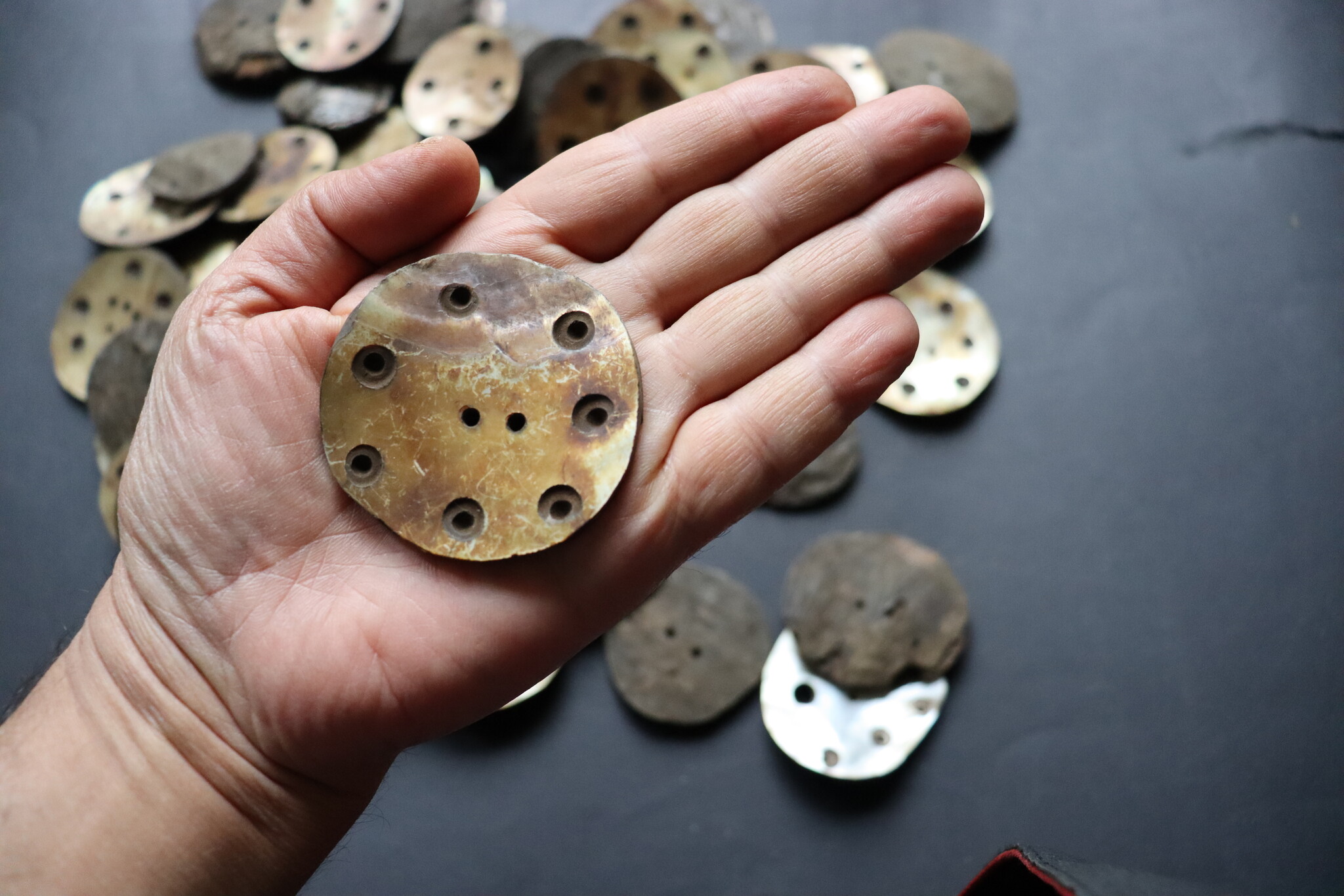2 PCS Vintage Hand Cut Shell Tany Buttons From The City Gilgit In The Swat Valley Of North Pakistan. - new