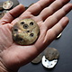 2 PCS Vintage Hand Cut Shell Tany Buttons From The City Gilgit In The Swat Valley Of North Pakistan. - new