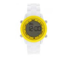 Lorem ipsum consectetur adipiscing sed fringilla