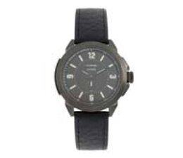 Lorem ipsum consectetur adipiscing sed fringilla