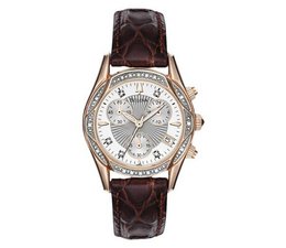 Lorem ipsum consectetur adipiscing sed fringilla