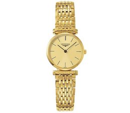 Lorem ipsum consectetur adipiscing sed fringilla