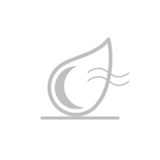 Voorbehandeling Voorbehandeling