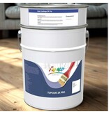 Inno Coatings Topcoat 2K Pro