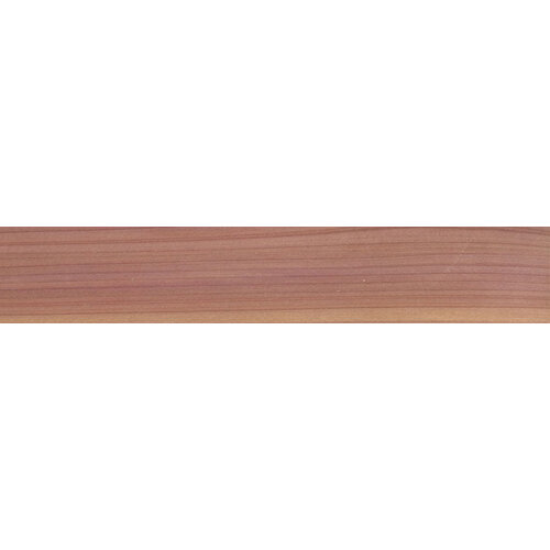 Red Cedar