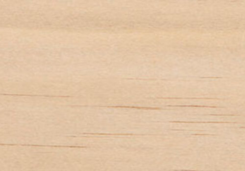 Accoya