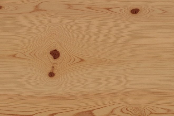 Western Red Cedar Holz, Nahaufnahme der Maserung