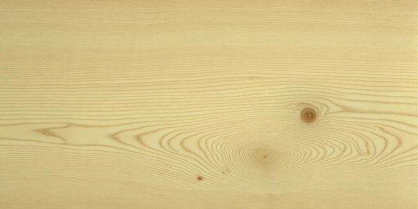 Rohe Kiefer mit großen harzreichen Ästen, die unter hellen Anstrichen durchbluten