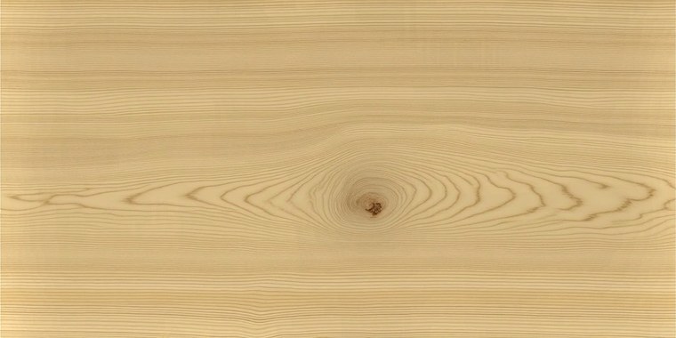 Rohes Lärchenholz, unbehandelt