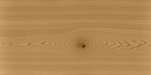 Lärche mit Trebitt Woodcare Honey Wood, 1 Anstrich