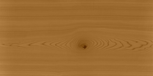 Lärche mit Trebitt Woodcare Honey Wood, 2 Anstriche