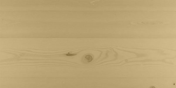 Accoya mit Trebitt Woodcare Natural Brown, 1 Anstrich