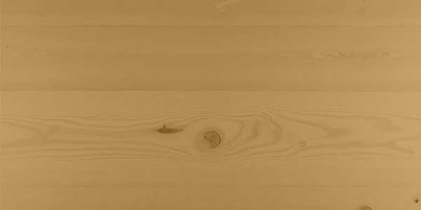 Accoya mit Trebitt Woodcare Honey Wood, 1 Anstrich