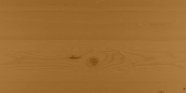 Accoya mit Trebitt Woodcare Honey Wood, 2 Anstriche