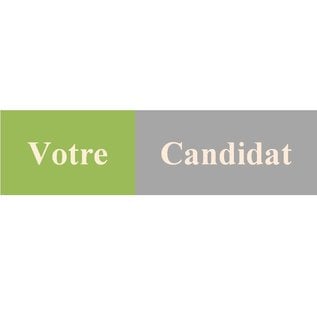 Votre Candidat! (FR-FR)