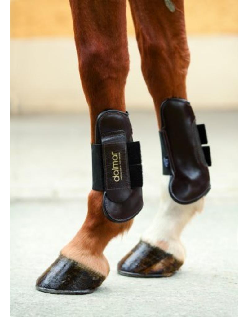 Dalmar Open fronted tendon boot